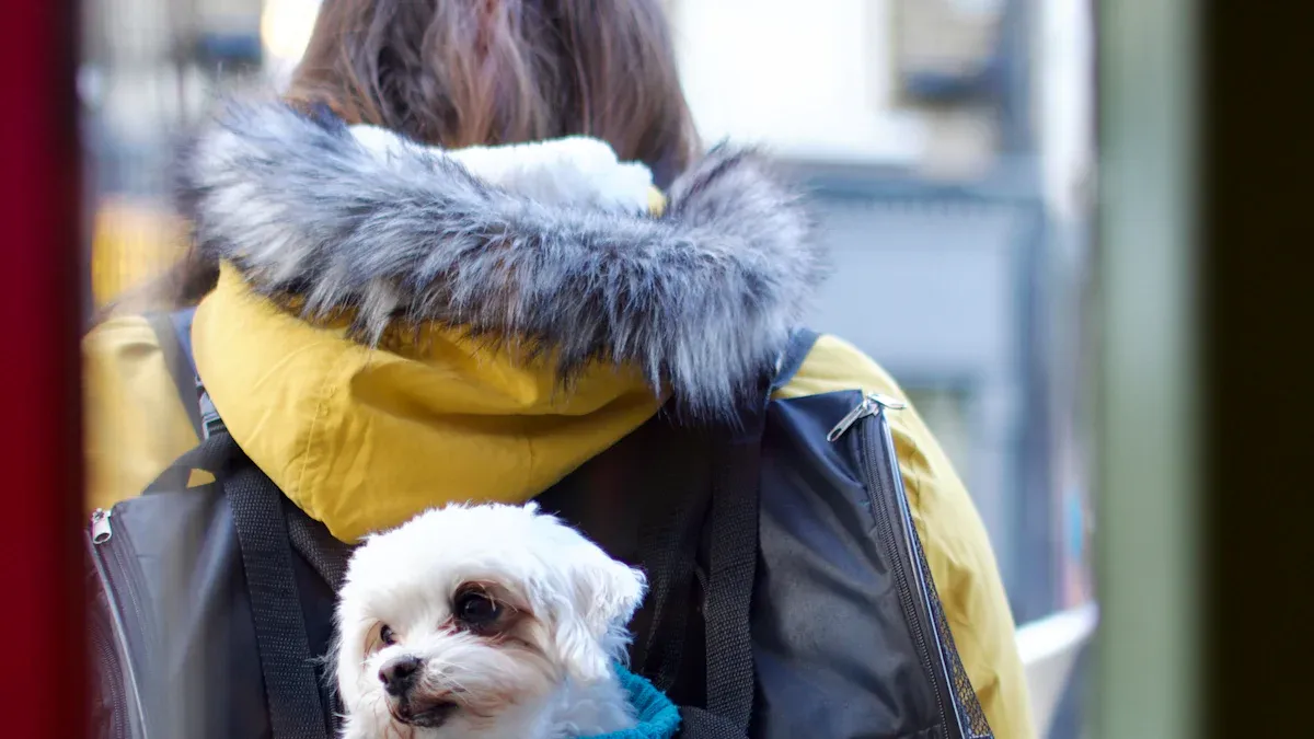 Choosing the Best Dog Backpack Carrier by Size