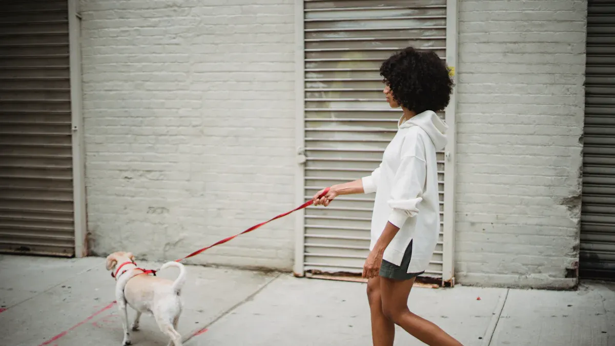 Small Dog Breeds New York: Leash Needs