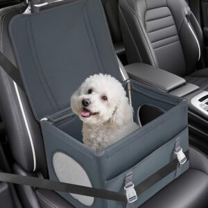 RidgePaw foldable dog car seat for small dogs; rigid booster with breathable mesh panels, seatbelt and anchor straps, anti-slip base, interior safety tether.