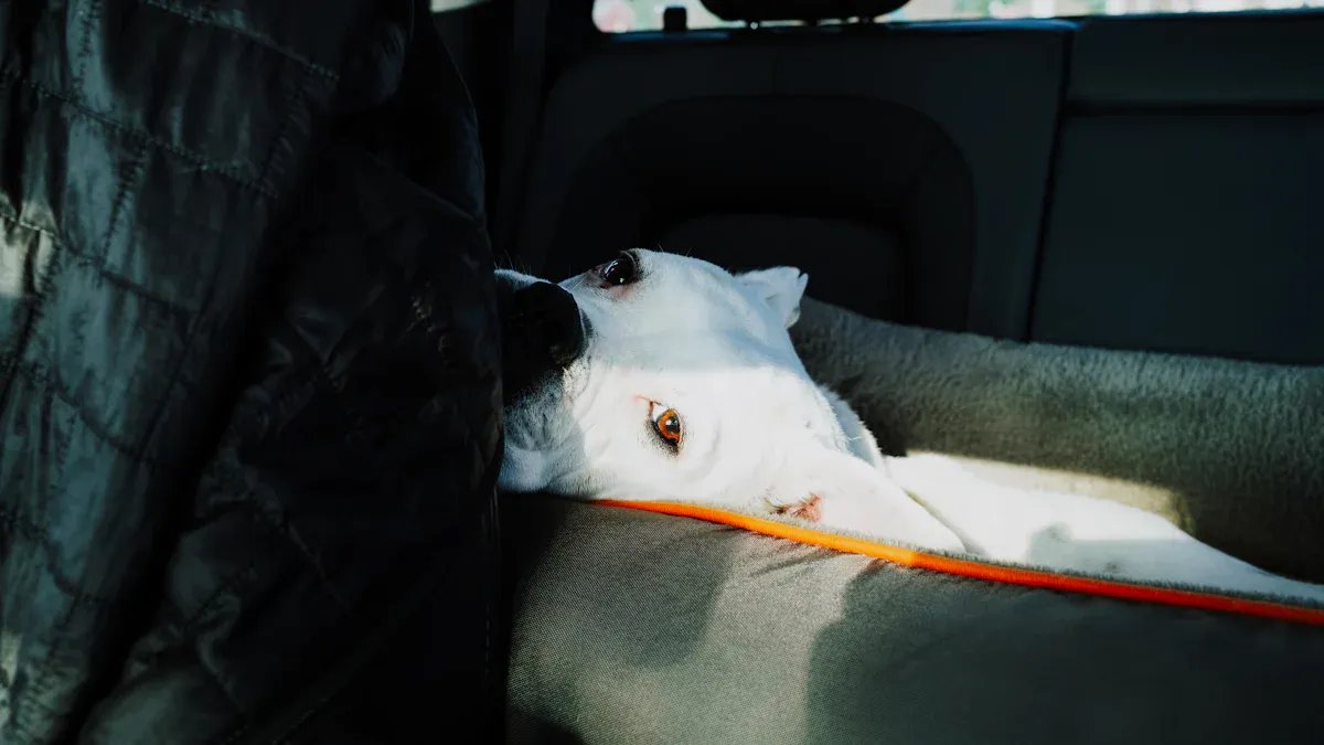 Types of Dog Car Seat Covers