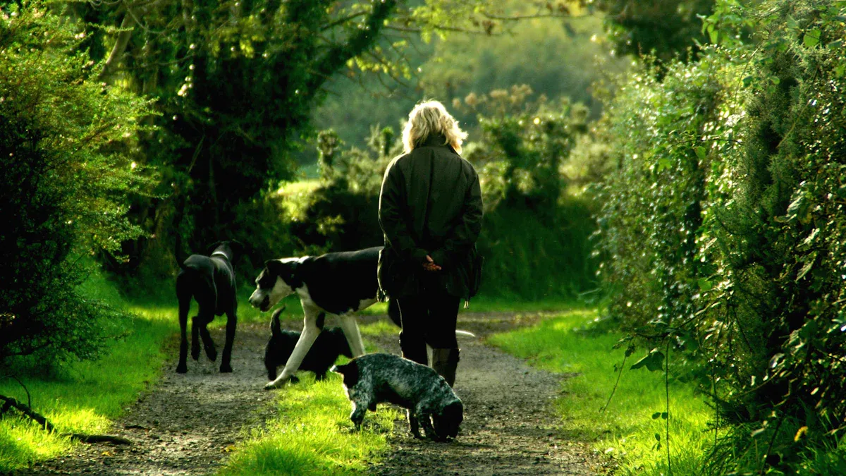 10 Best Dog-Friendly Hikes Near Me