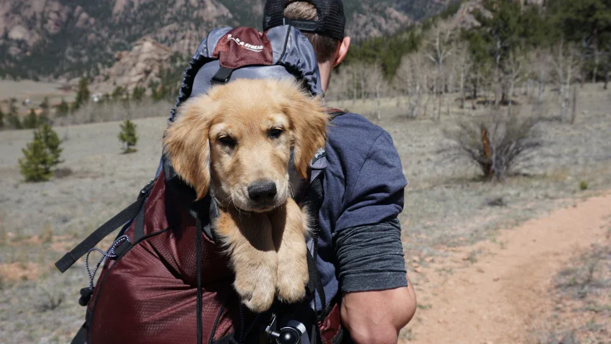 Packing for Camping with Your Dog