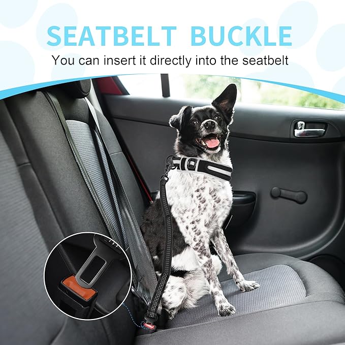 Seatbelt-style buckle clicks into the car receiver to secure dogs in transit and reduce driver distraction