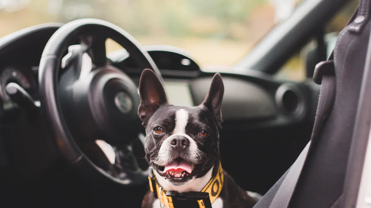 Types of Dog Car Seats