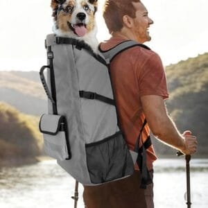 Hiker wearing a dog backpack carrier with a small dog riding in the top opening during an outdoor trail walk