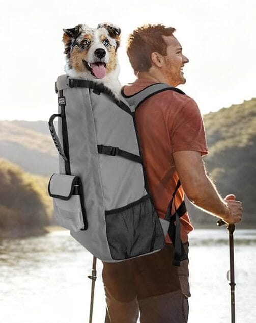 Hiker wearing a dog backpack carrier with a small dog riding in the top opening during an outdoor trail walk