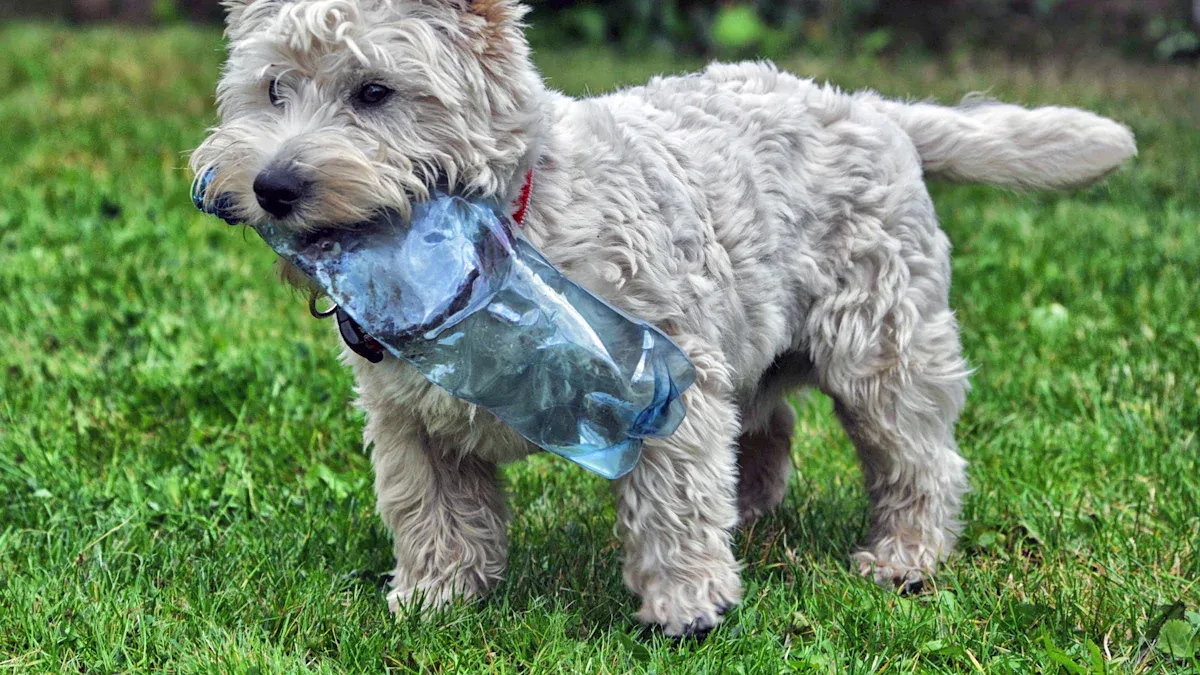 Dog Harness Sizing & Fit