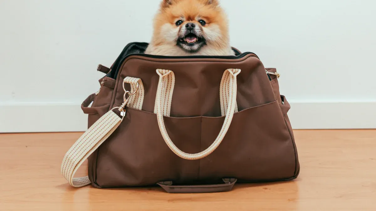 Key Features of the Best Dog Rucksack Backpack