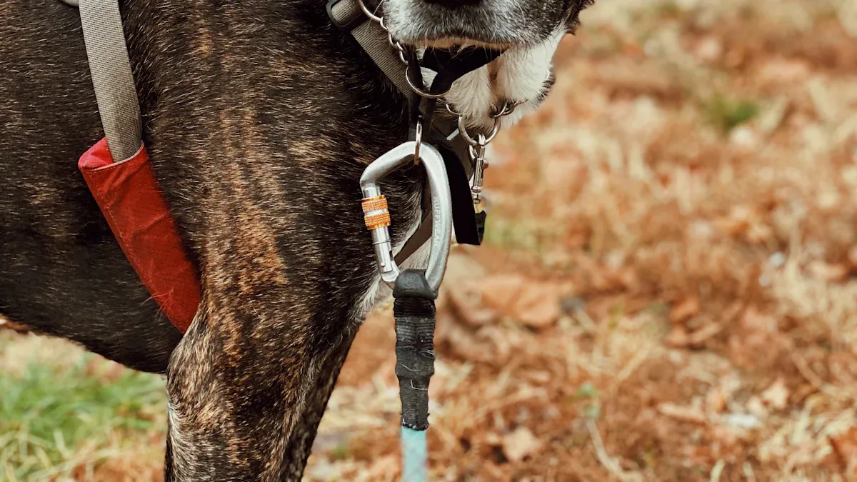 Dog Harness Sizing for Large and Giant Breeds