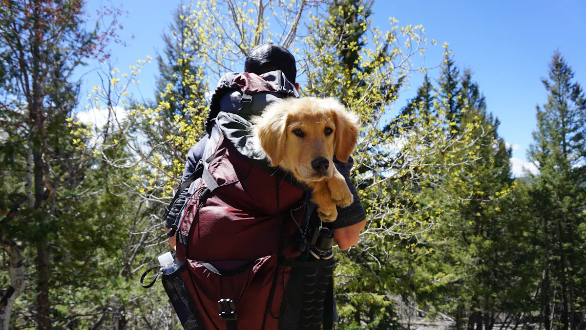 Dog Rucksack Backpack for Outdoor Adventures