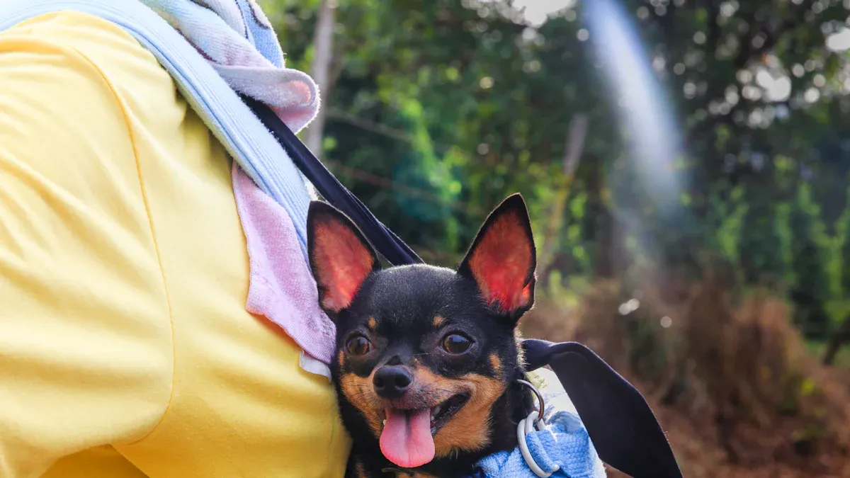 Canine Backpack Carrier Features