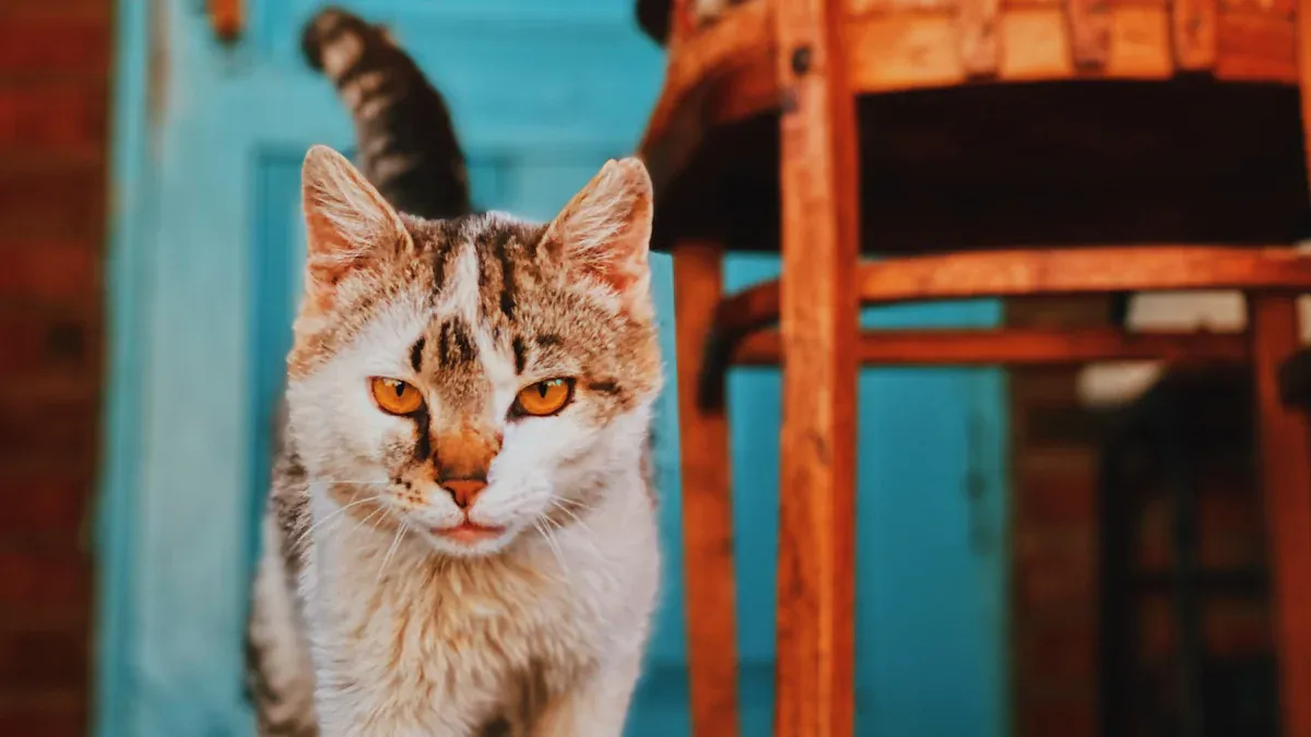 Colorways and Catalog Naming