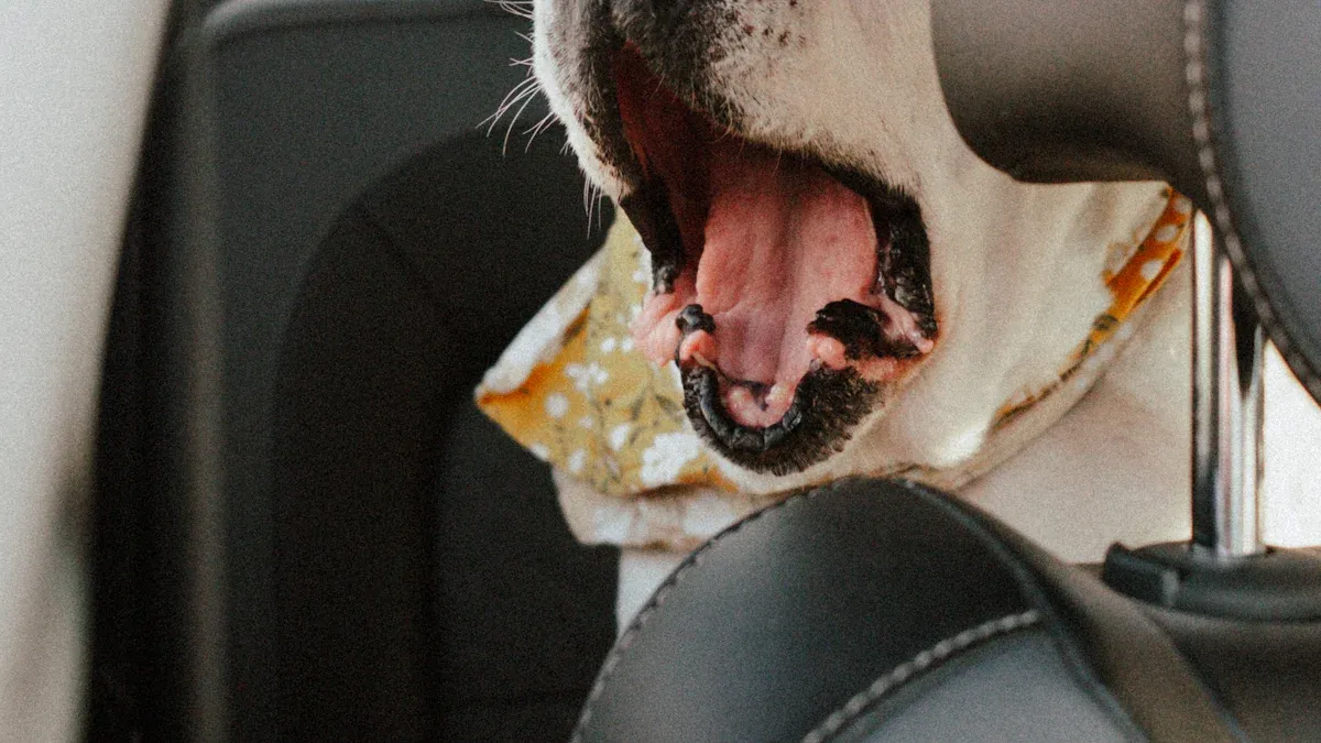 Car Seat for Dogs Glossary
