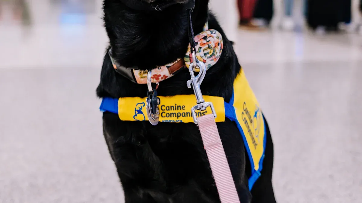 Evidence for Safety Harness Claims