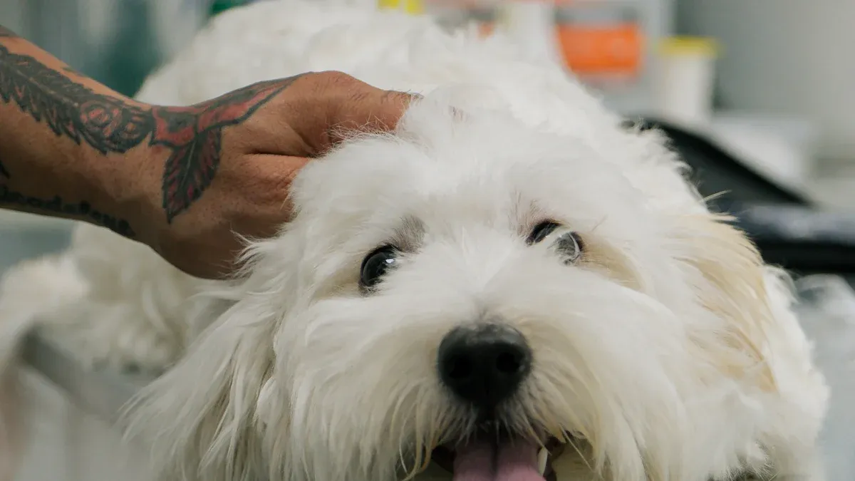 Abrasion Testing for Outdoor Dog Bed Covers