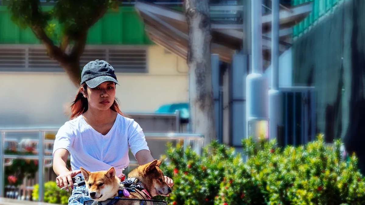 Dog Bike Attachment and Add-Ons
