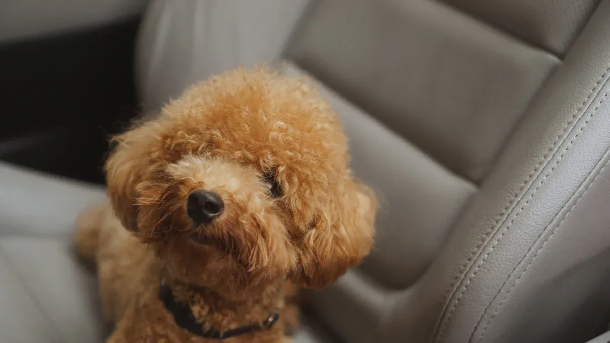 Size Bands and Sizing Guide