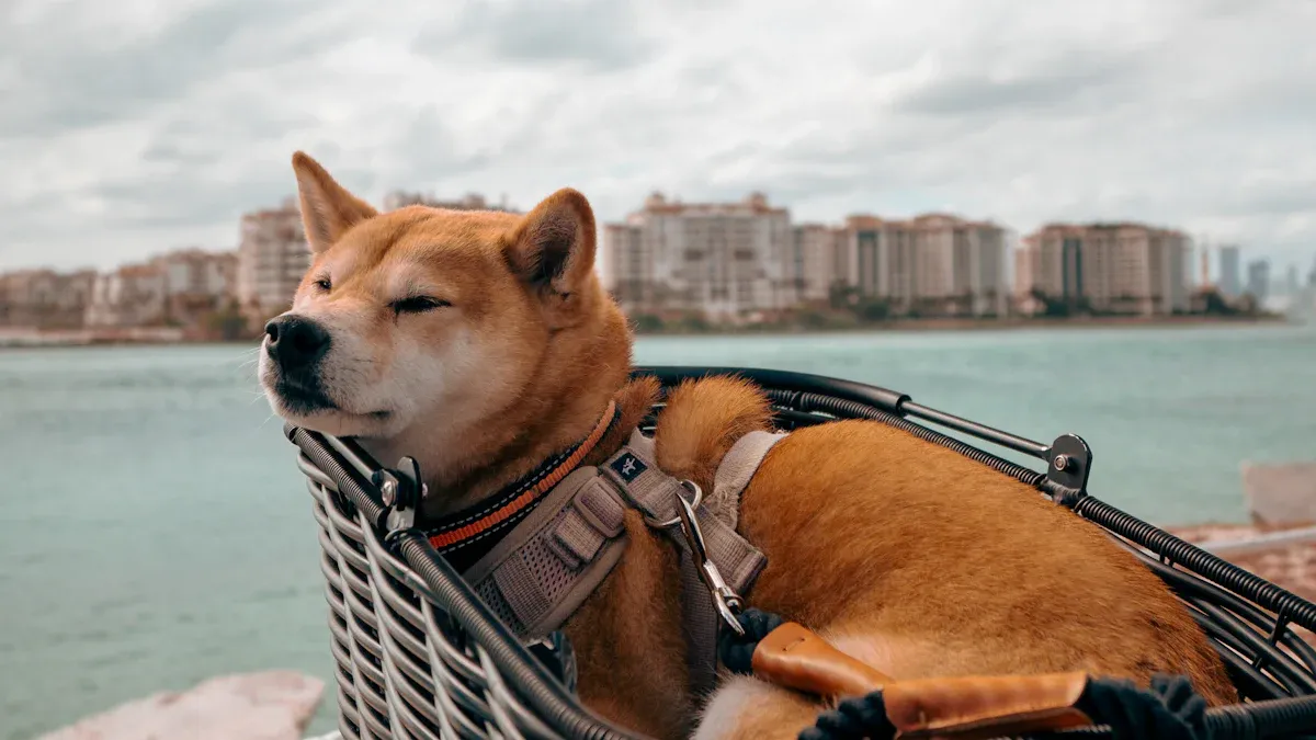 Basket Option: Fit and Risks