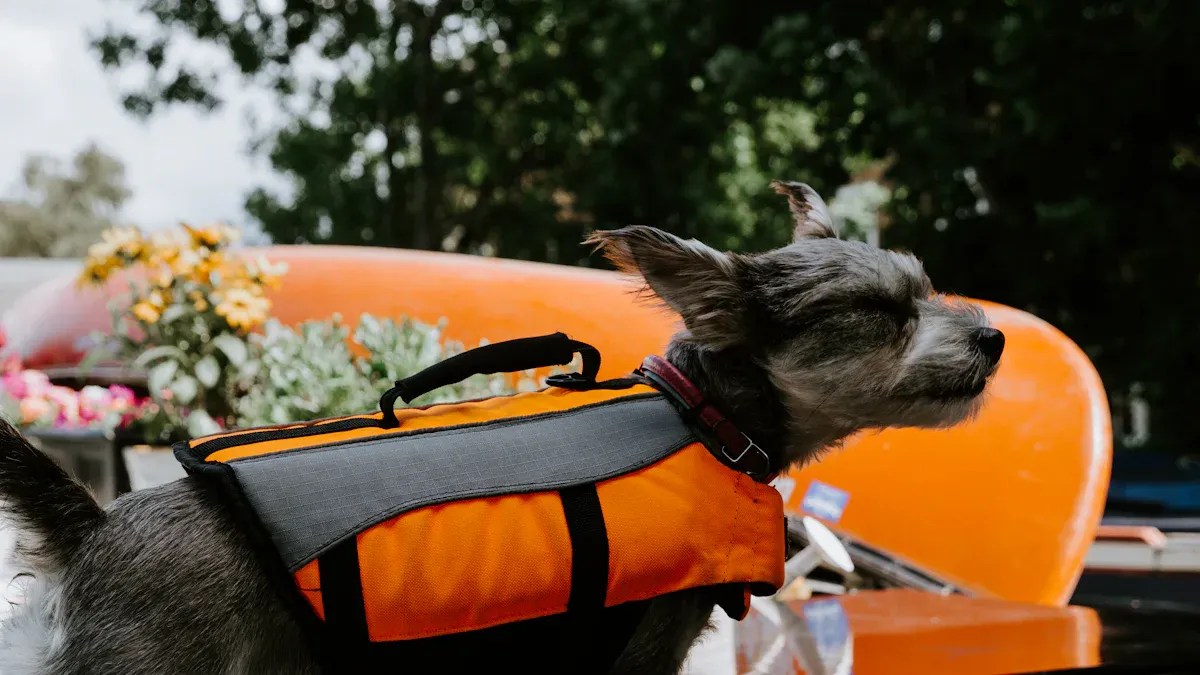 Dog Life Jackets Placement in Retail Stores