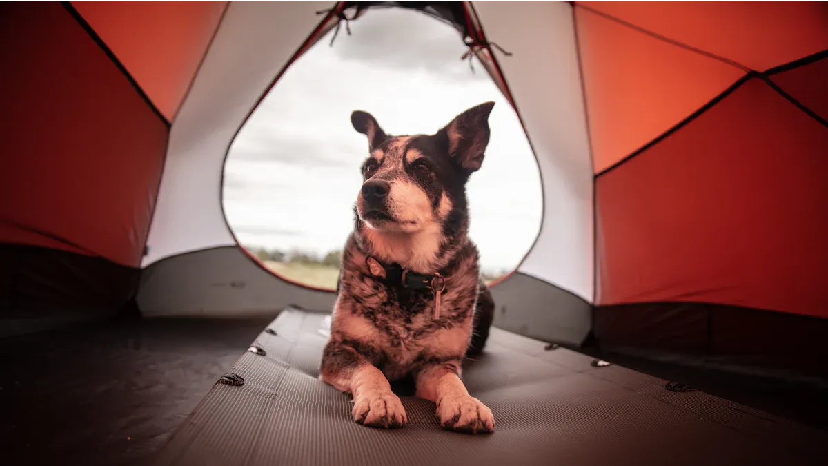 Camping Dog Bed Selection Criteria
