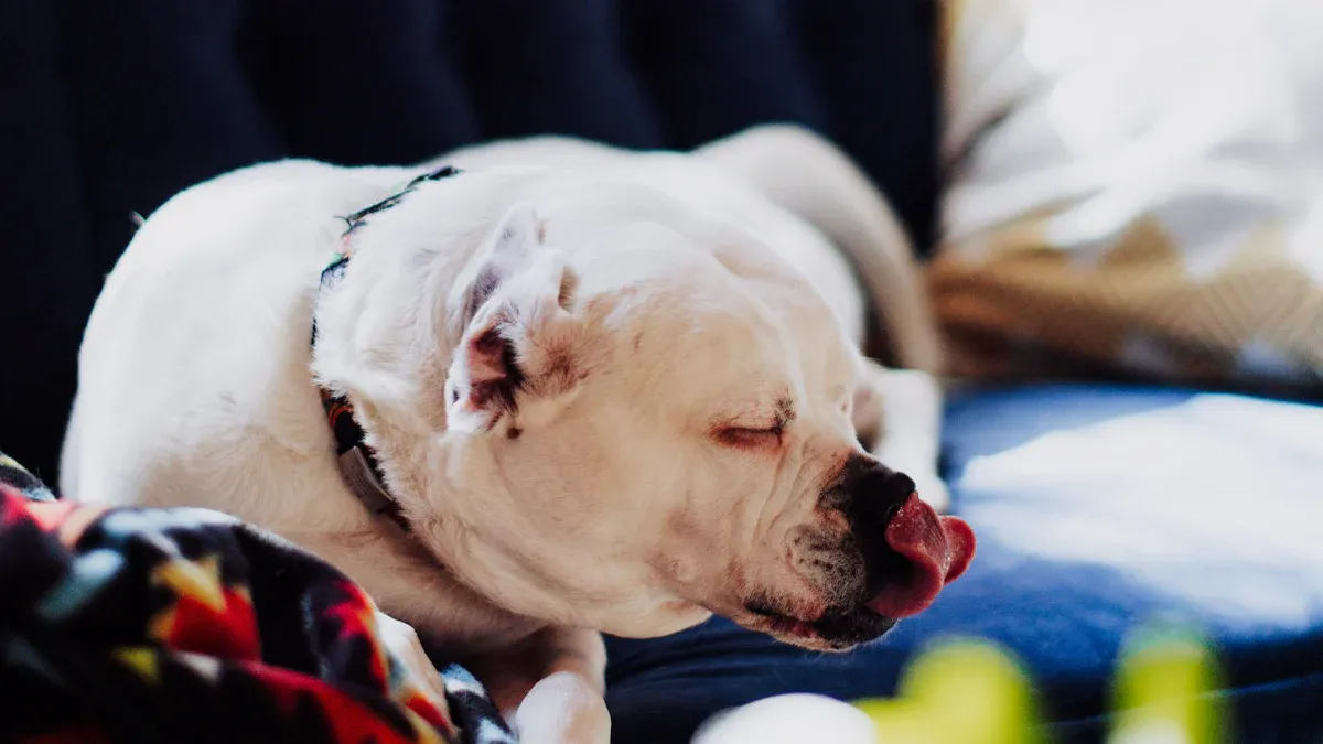 Materials for durability and comfort