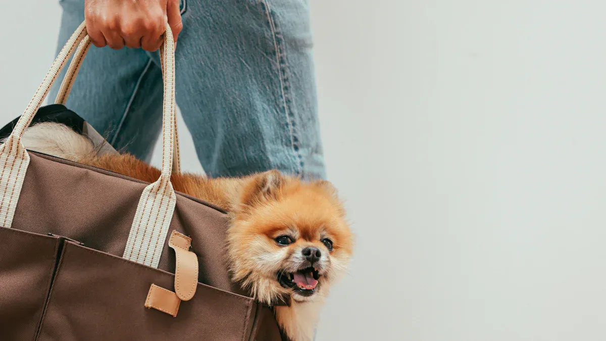 Dog Rucksack Backpack, Sling Carrier, and Trolley Bag Comparison