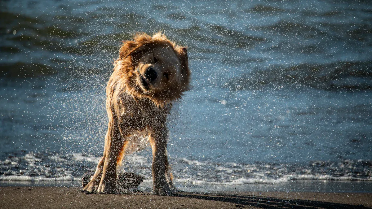 UK/EU Naming Rules: Buoyancy Aid and Life Jacket