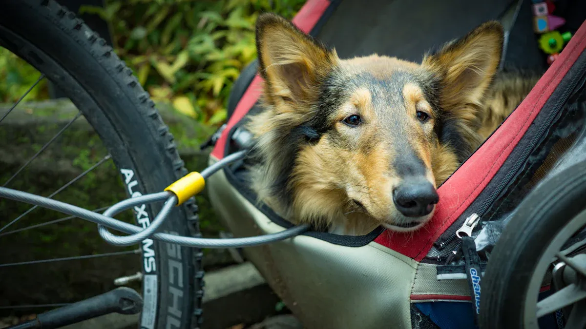 Safety Tips for Riding with a Dog