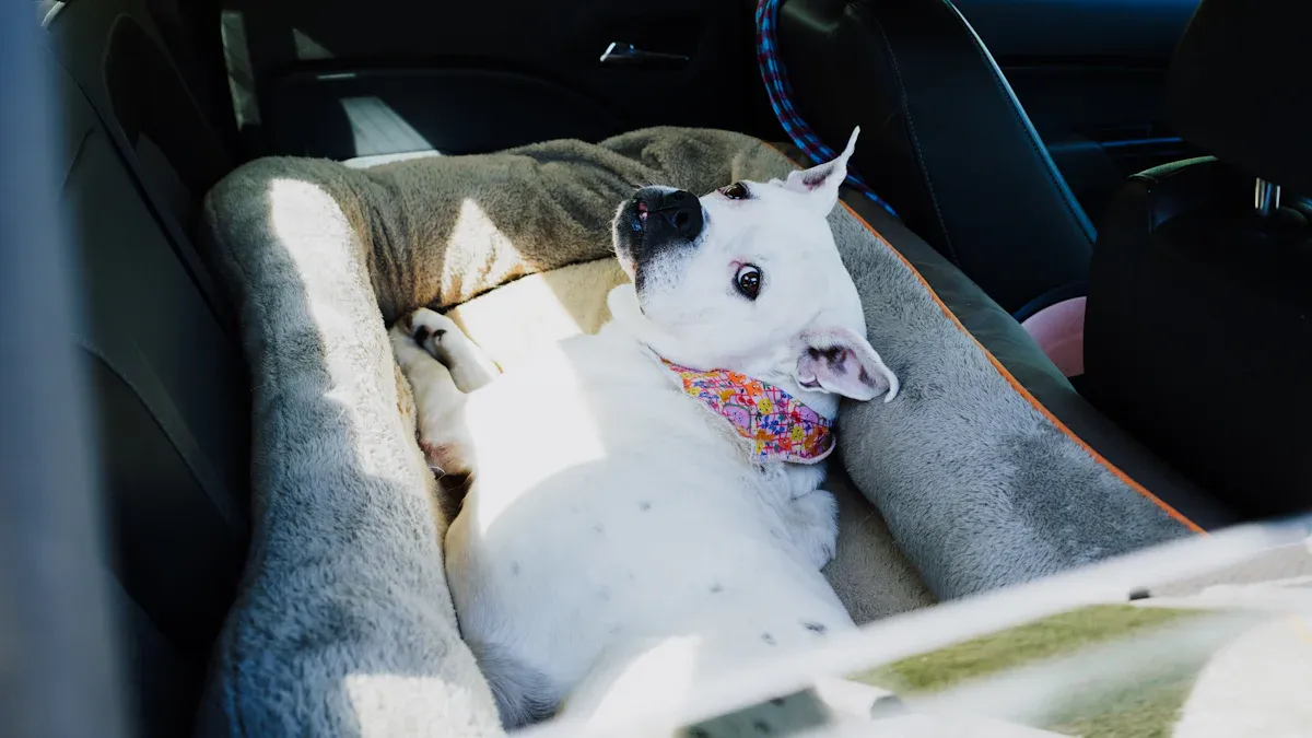 Dog Car Seats and Cushions: Comfort and Safety