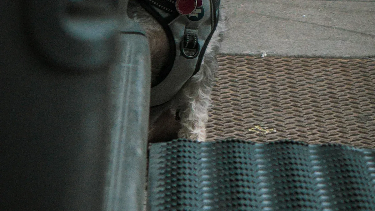 Common Escape Points in Small Dog Harnesses