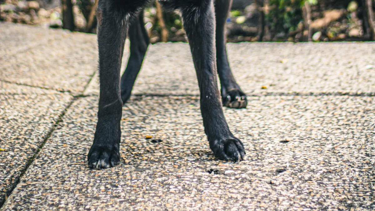 Attribute Table: Runners Leash for Dog