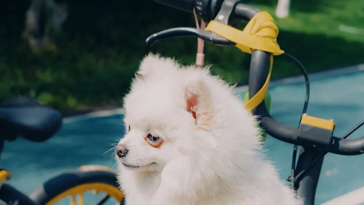 Dog Basket for Bike Feature Ladder