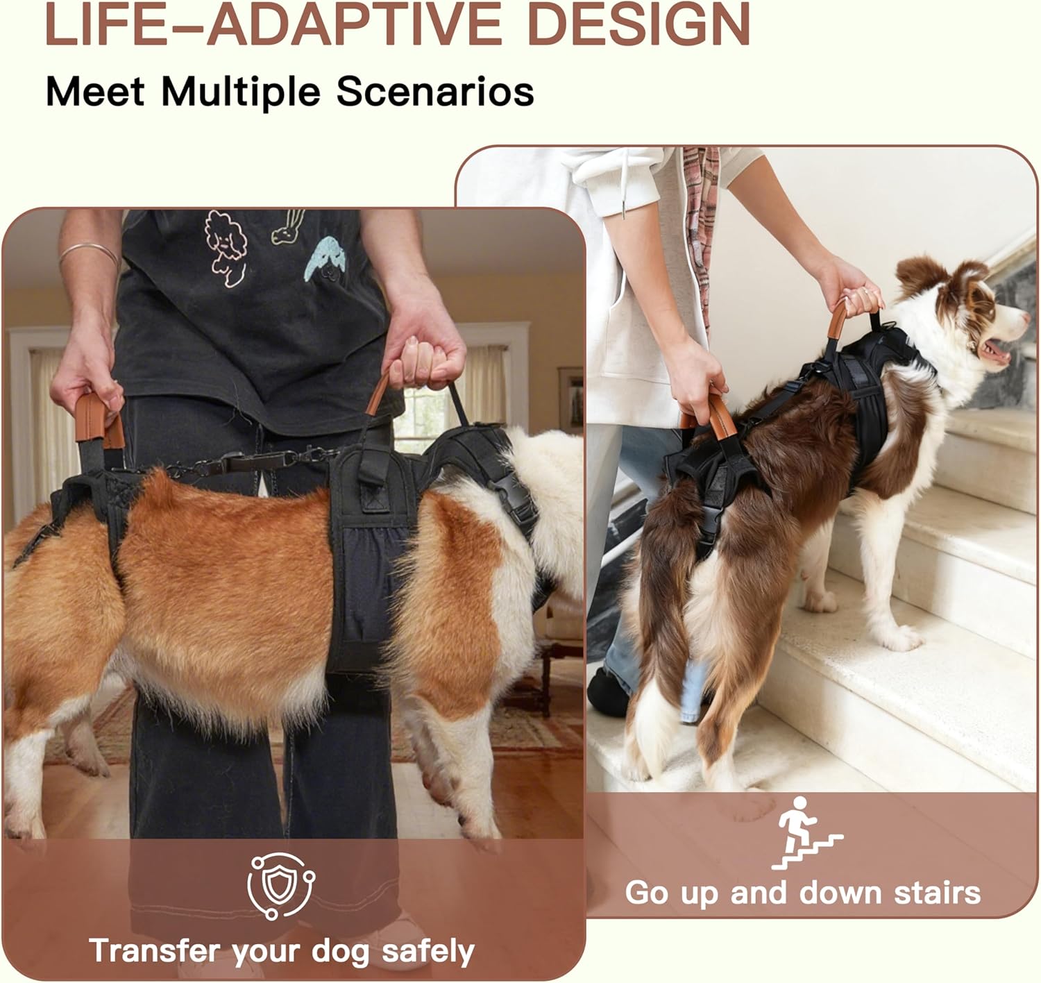 Dogs using lift-assist harness handles for safe transfers and going up and down stairs