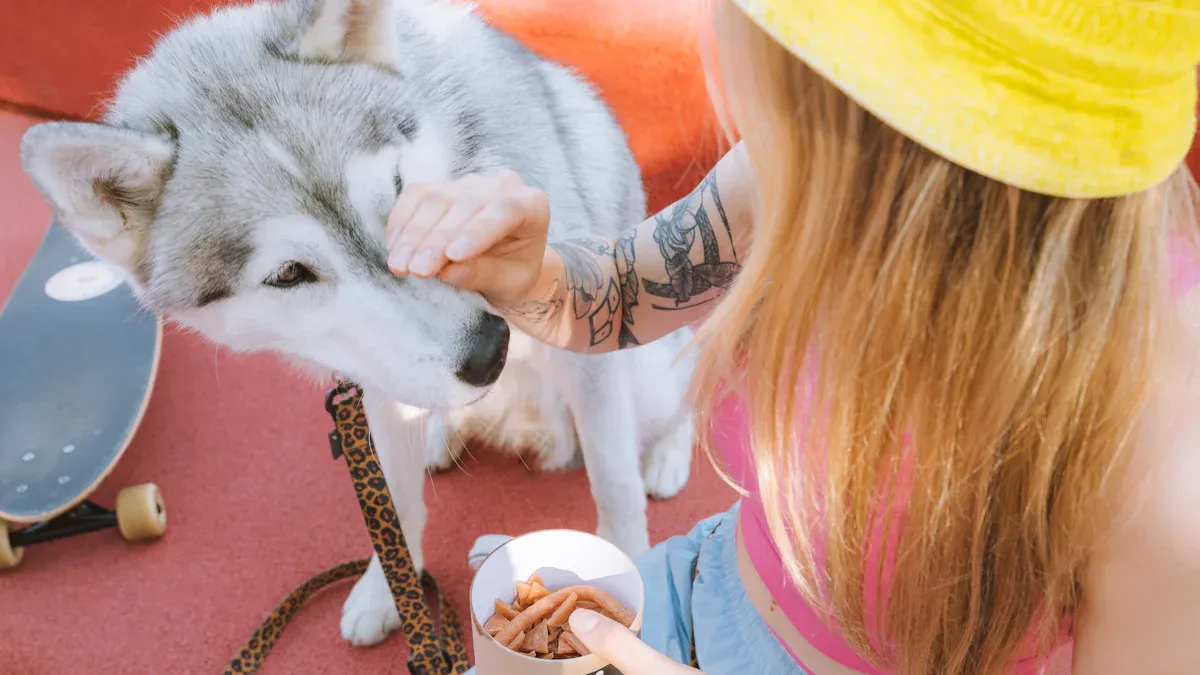 Dog Treat Pouch Pocket Design