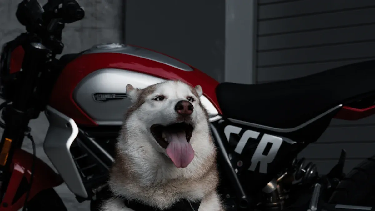 Display playbook for US and Europe bike bags market