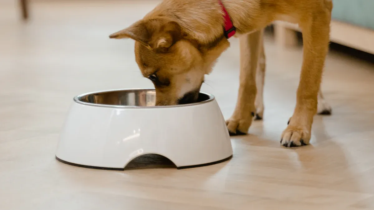 Asset Pack: Images and Scale Cues