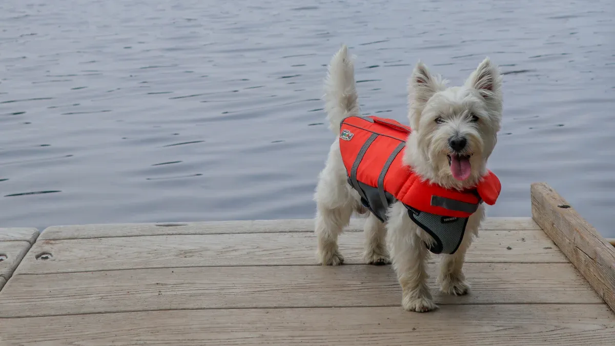 Comparing Life Vest Jacket vs. Life Jacket for Dogs