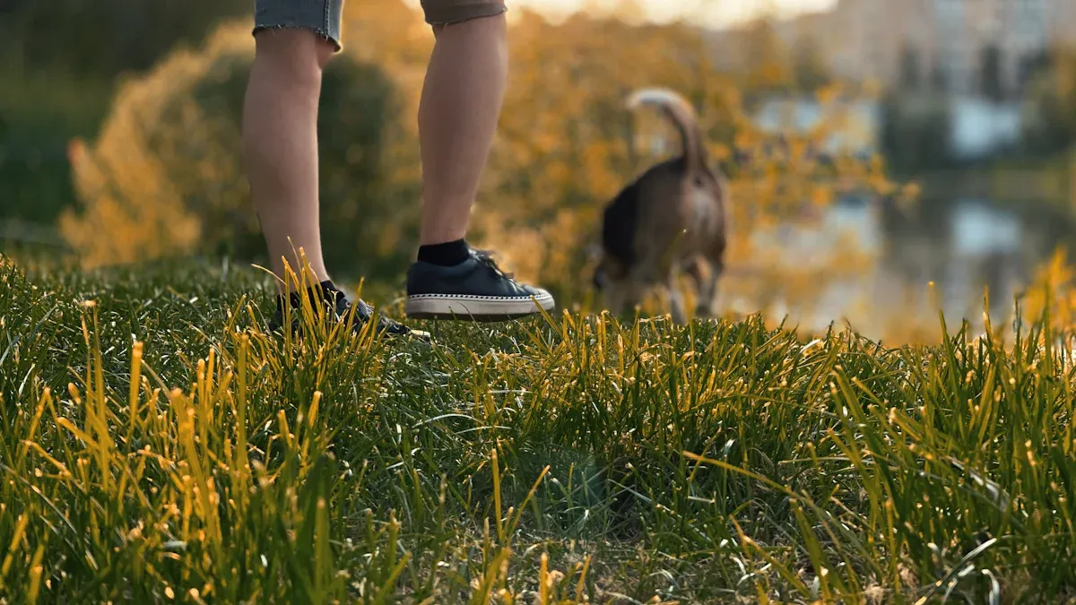 Types of Dog Leash for Running