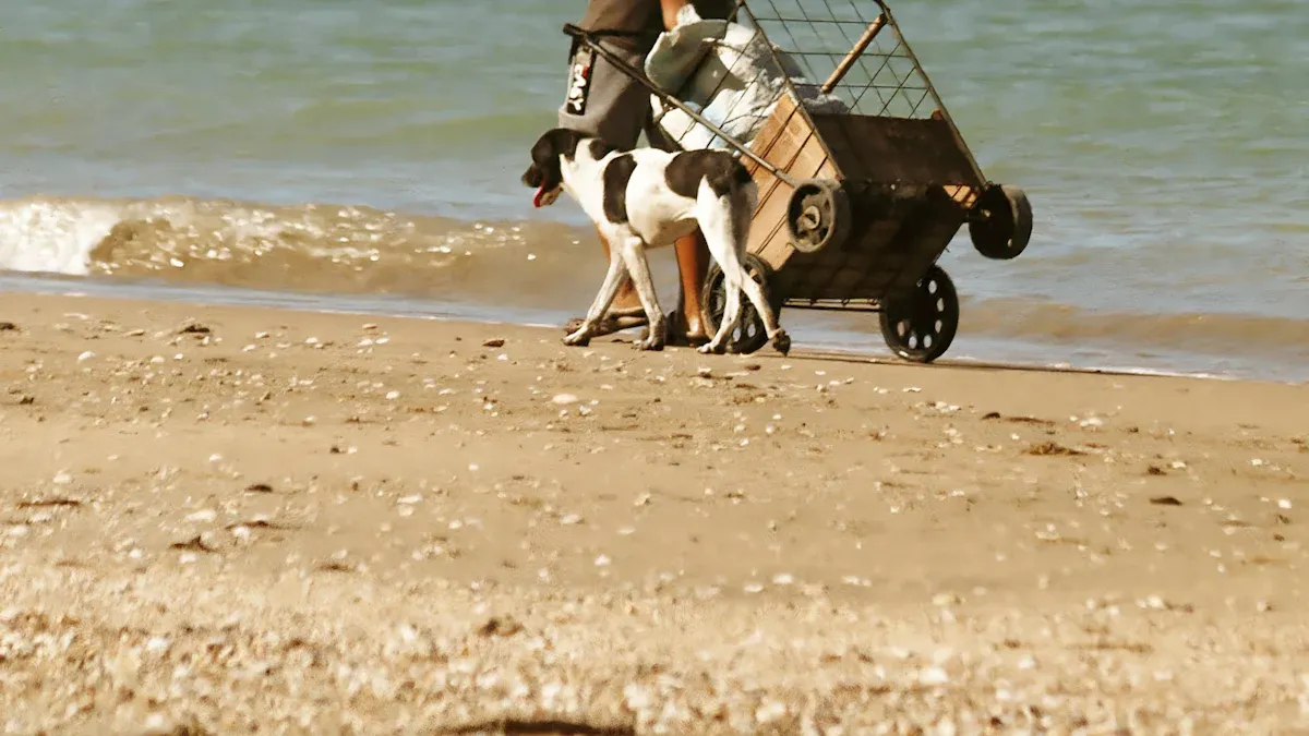 Dog Bike Trailers: Stability and Safety