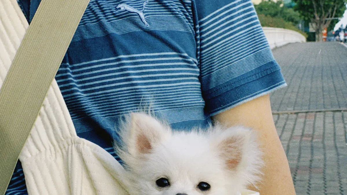 Dog Sling Carrier Carry Positions