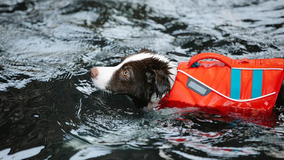 Fit, Comfort, and Safety Messaging