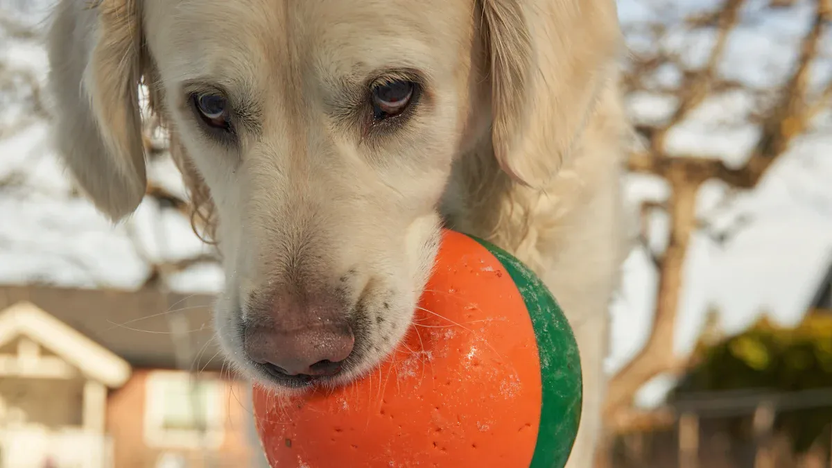 Life Vests Feature Ladder by Tier