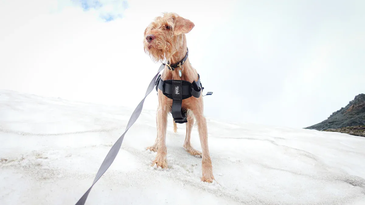 Managing Customer Expectations for Dog Harness No Pull