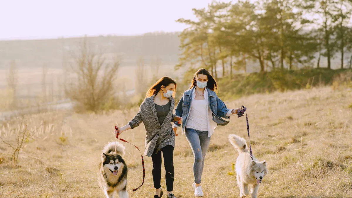 Two people walking dogs outdoors on a dry trail in open weather