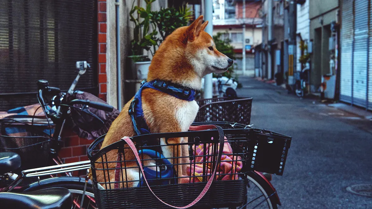 Dog Bike Basket Tier Ladder