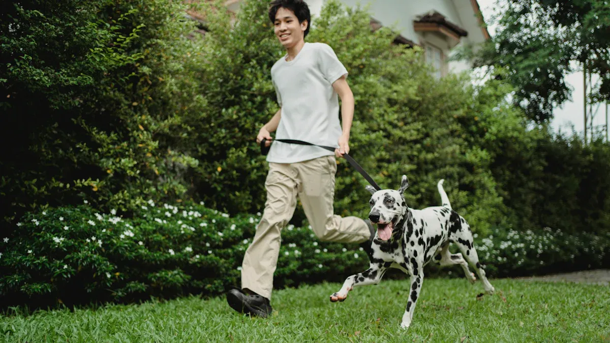 Best Dog Leashes for Runners: Feature Essentials