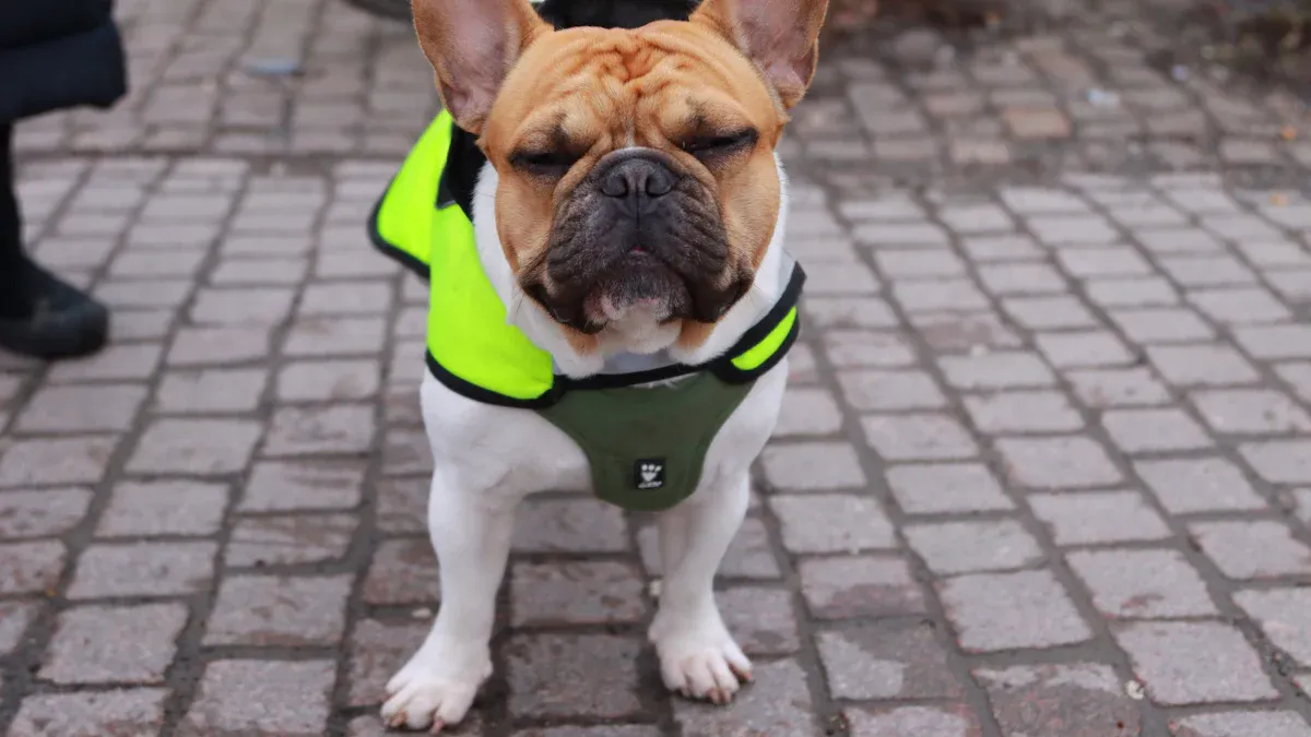 Harnesses and Vests in Safety Bundles