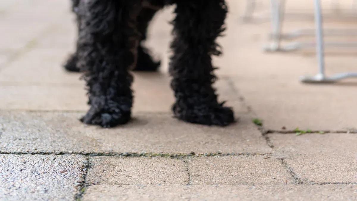 Buyer Issues: Safety and Fit Problems