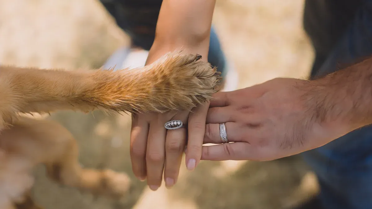 Outdoor Dog Bed Abrasion Testing