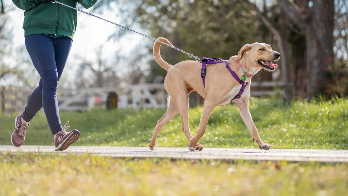 Dog Harness Big Sizing and Returns